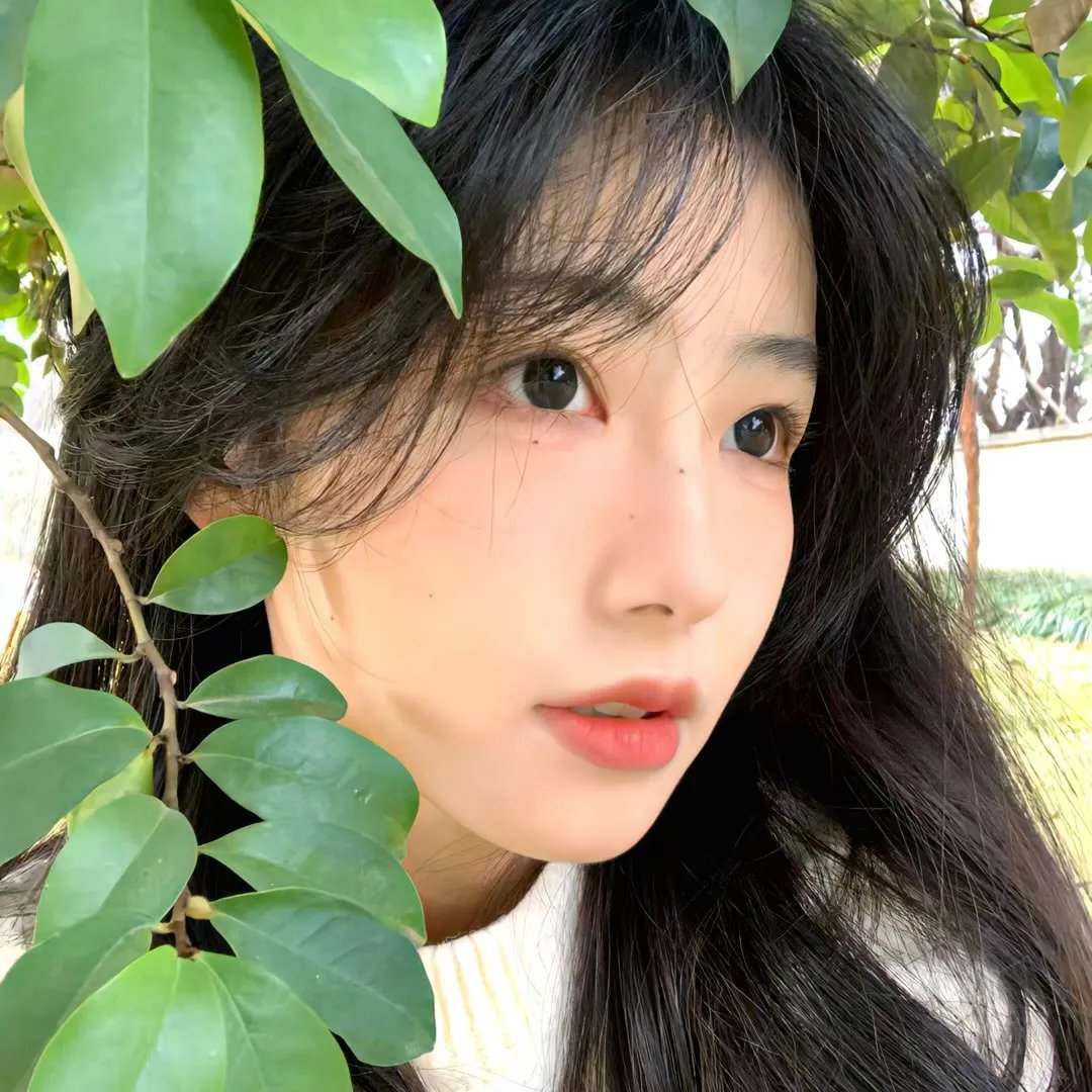 吹风的日子